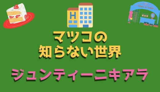 ジュンティーニ・キアラ(高島屋)和菓子バイヤーは滝沢カレン似！Wiki 風経歴！